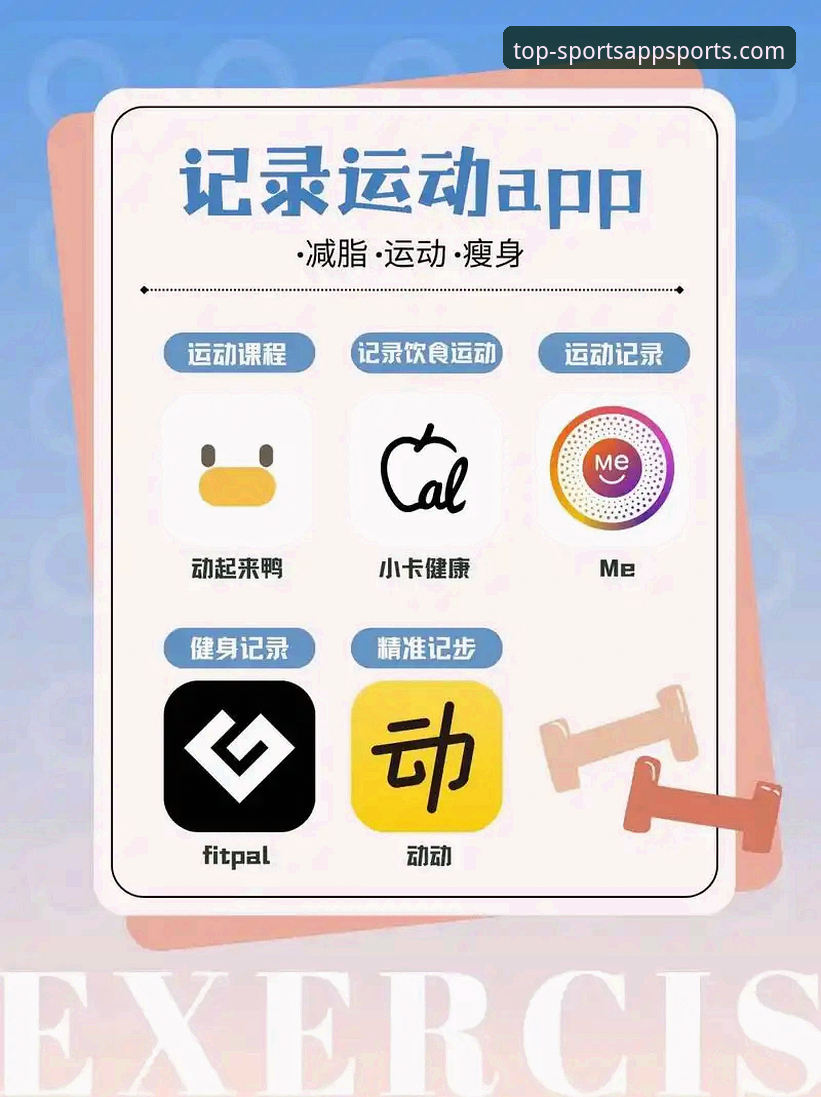体育APP安装教程：3种方法轻松搞定，老用户实测分享5个关键步骤